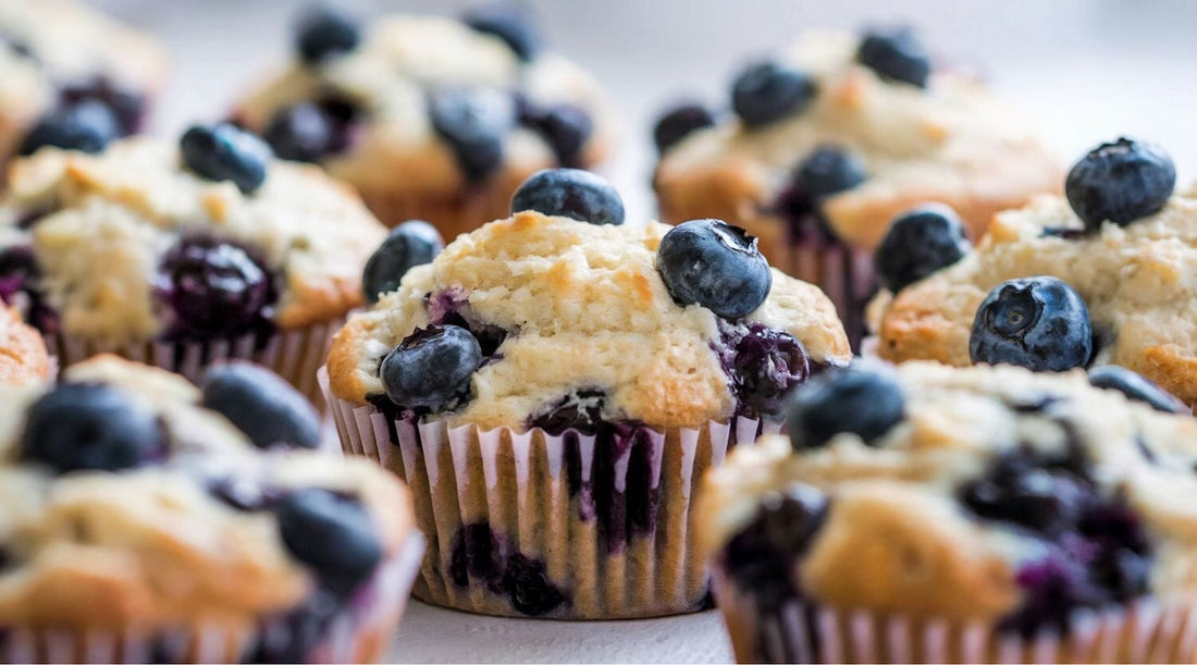 Blueberry Protein Muffins