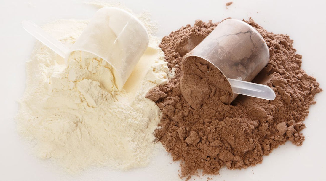 Hydrolyzed Whey Protein Explained: Does Faster Absorption Mean Better Results?