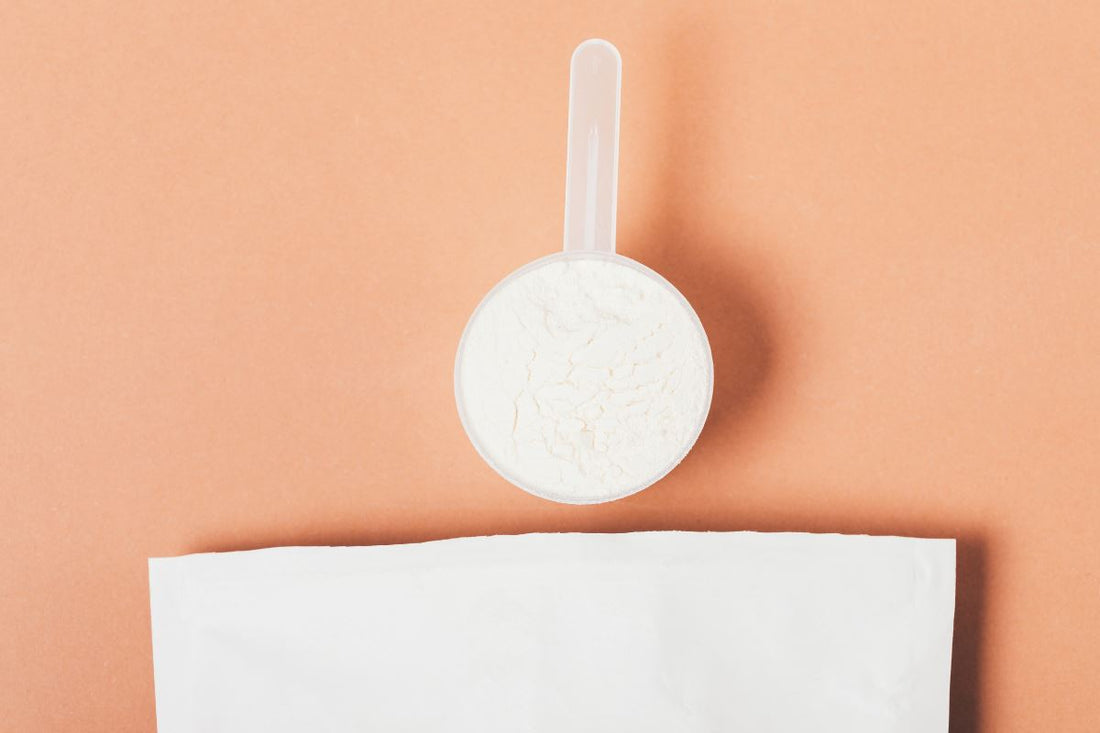 Leucine in Your Protein – What is it and why does it matter?